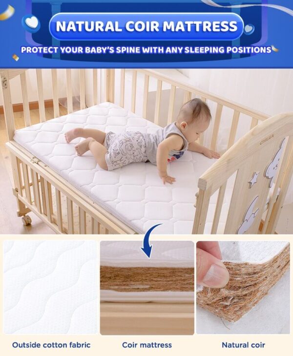 Chilux Coir Mattress - Image 2